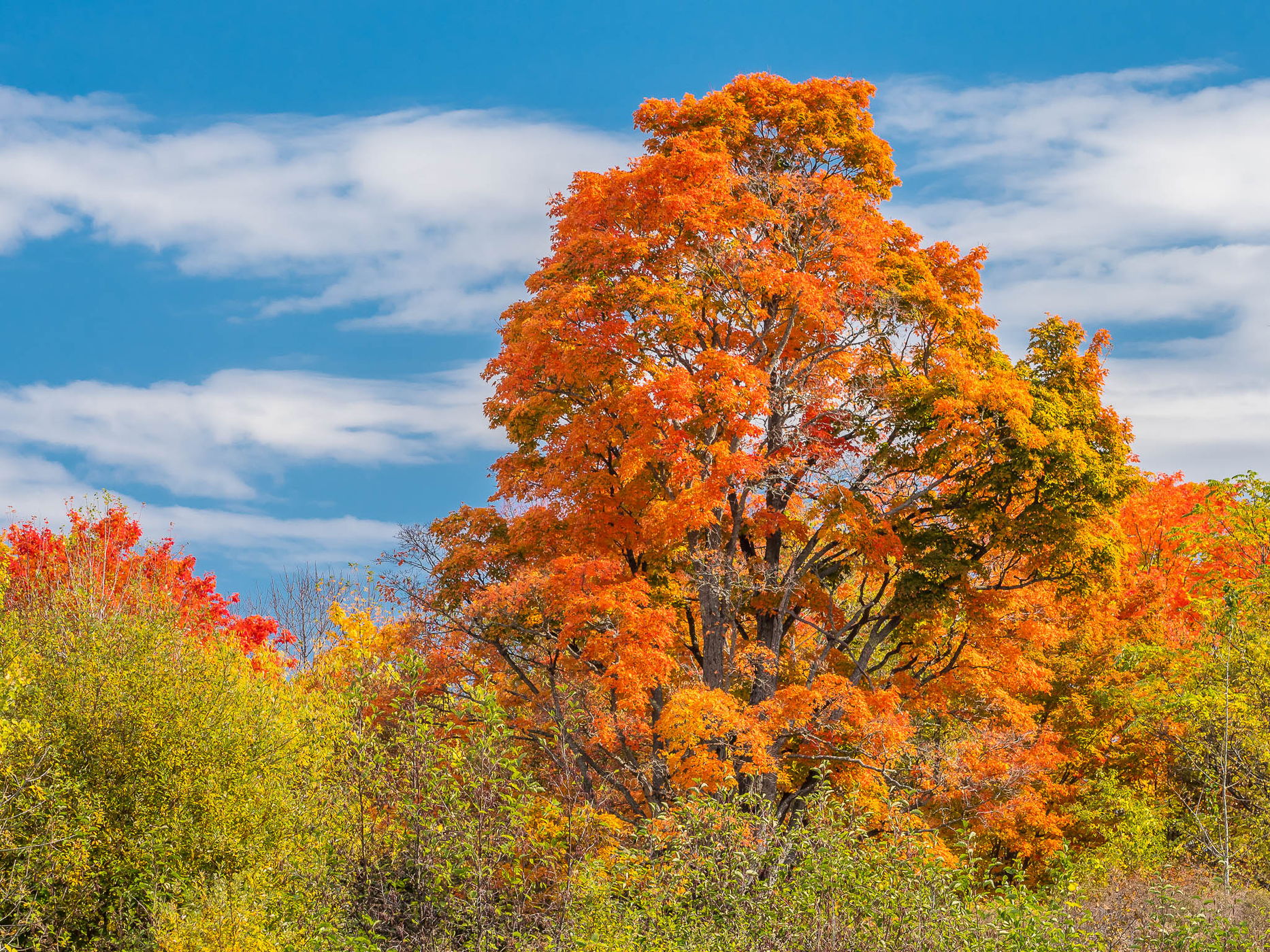 Indian Summer at Mactaquac Dam, Canada