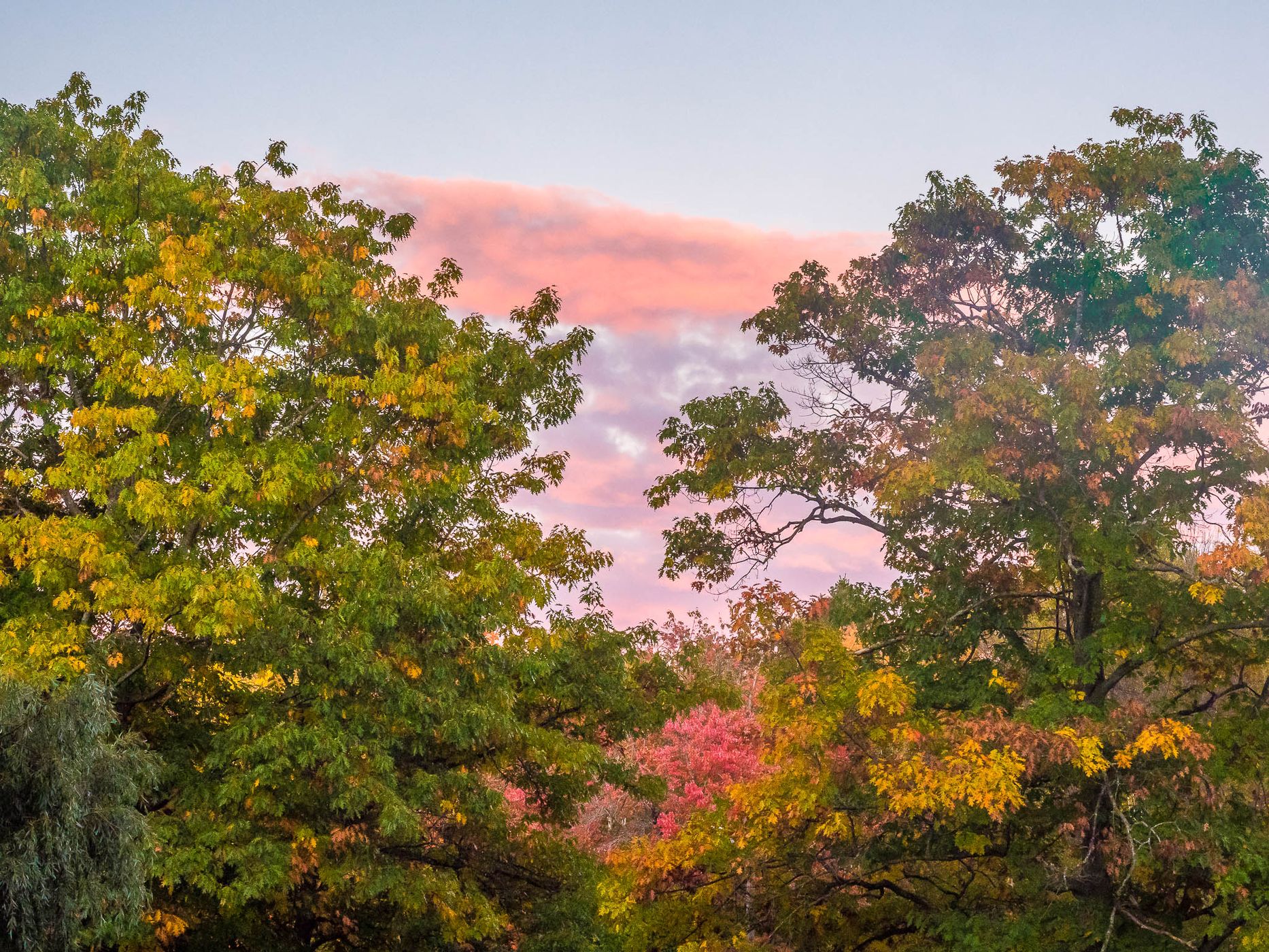 Indian Summer in Odell Park, Canada