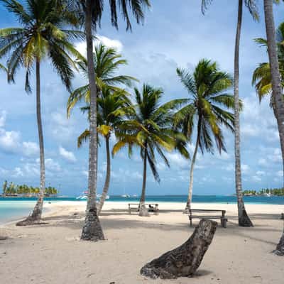 Isla Perro grande, Panama