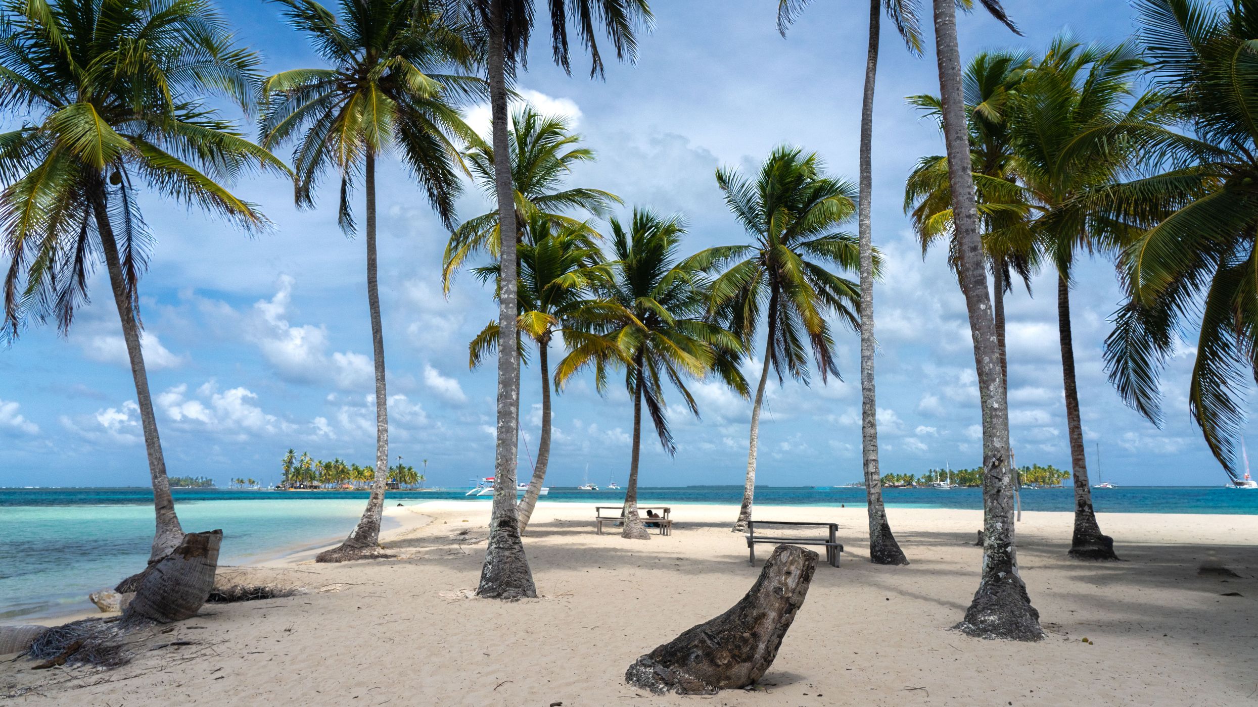 Isla Perro grande, Panama