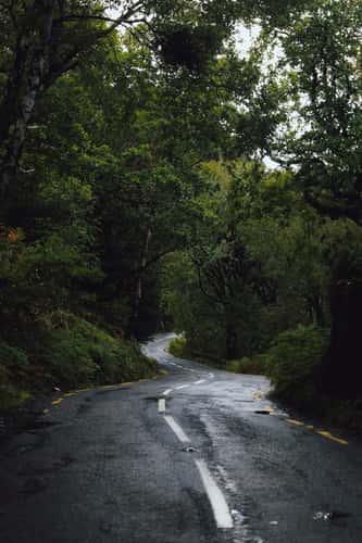Killarney National Park