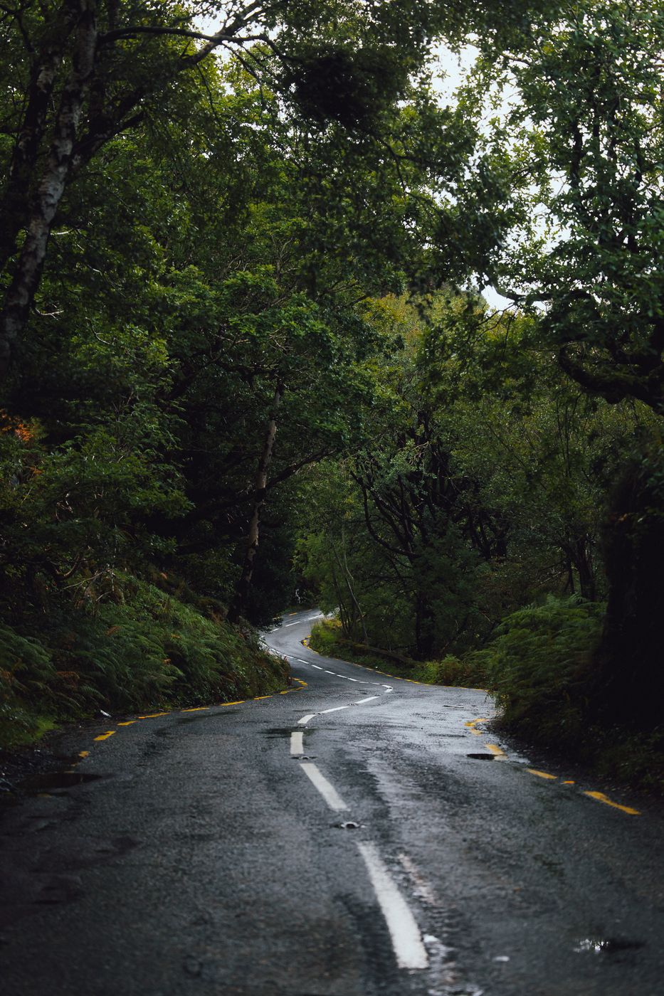 Killarney National Park, Ireland