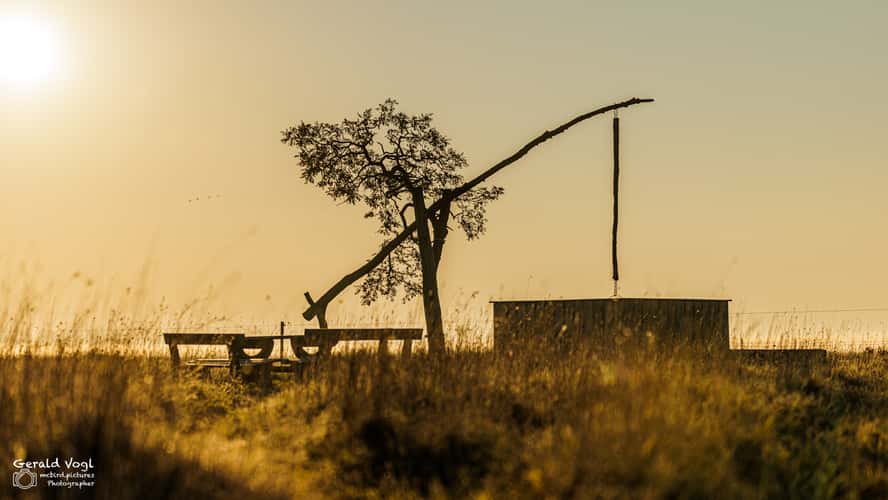 Lange Lacke Naturschutzgebiet