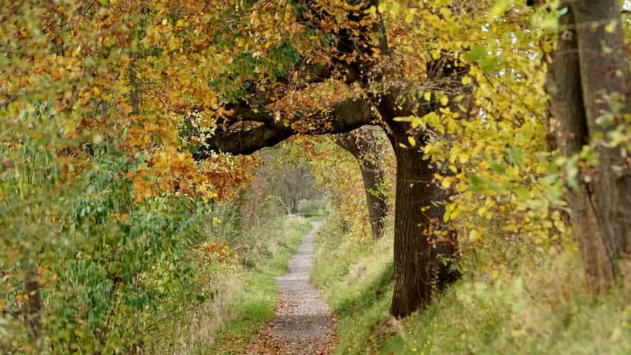 Leinemasch, Hannover