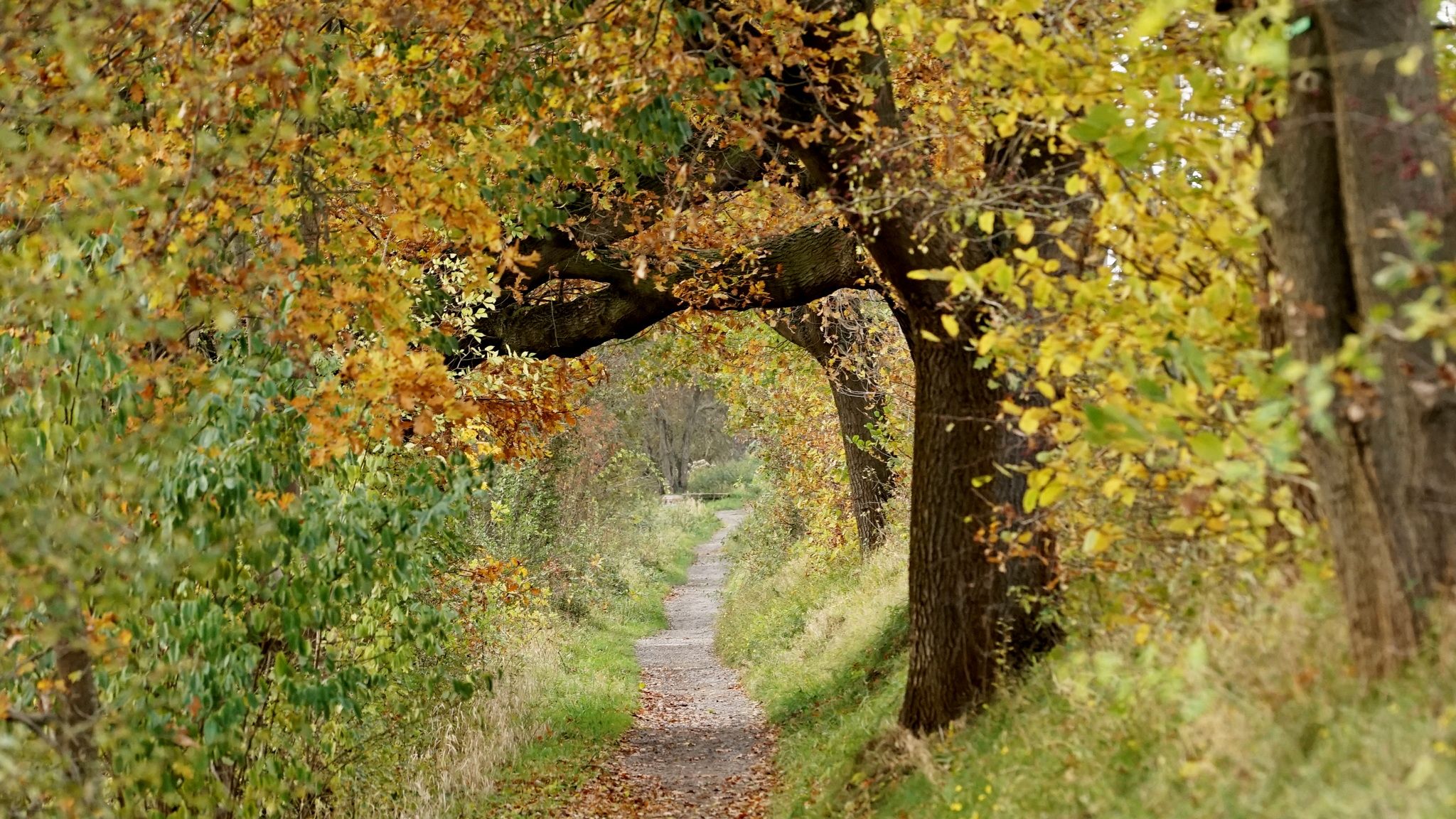 Leinemasch, Hannover, Germany