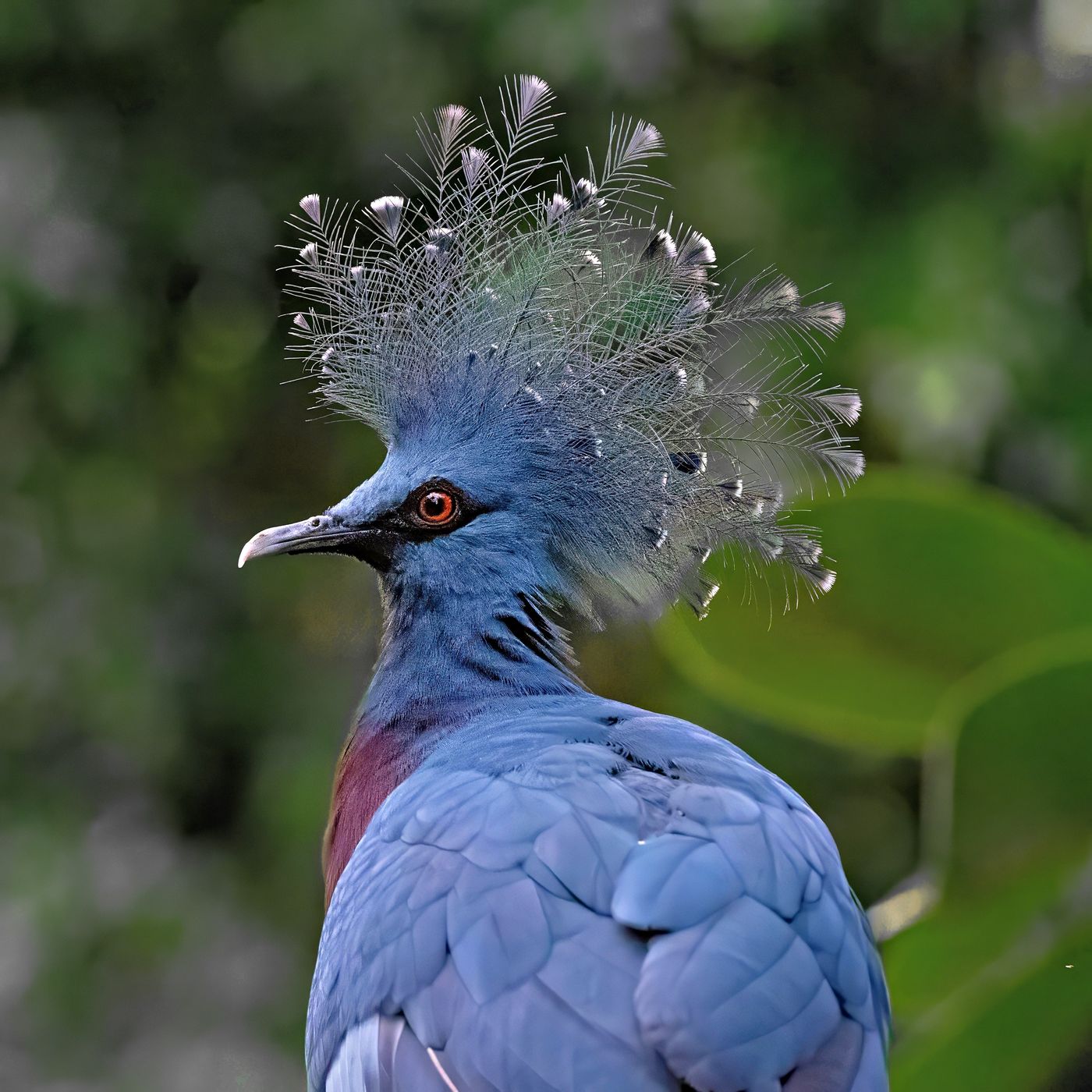 Leipzig Zoo, Germany