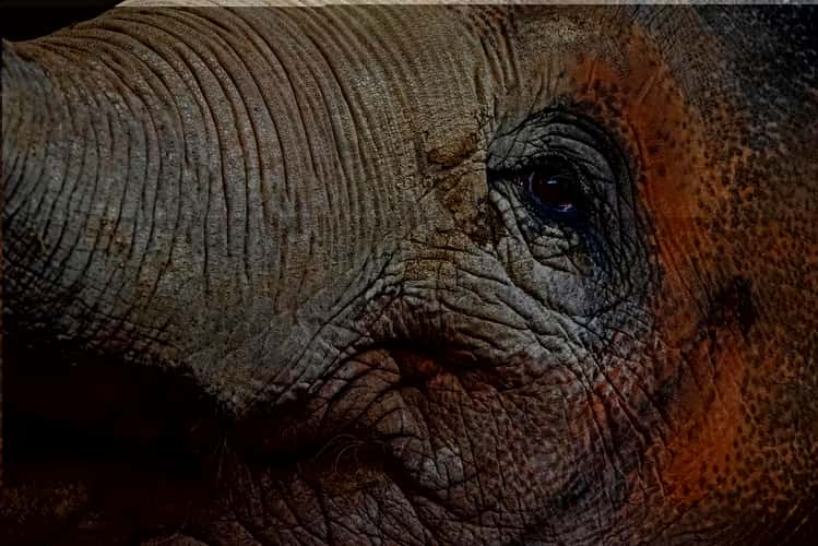 Leipzig Zoo