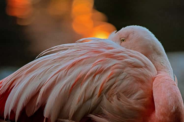 Leipzig Zoo