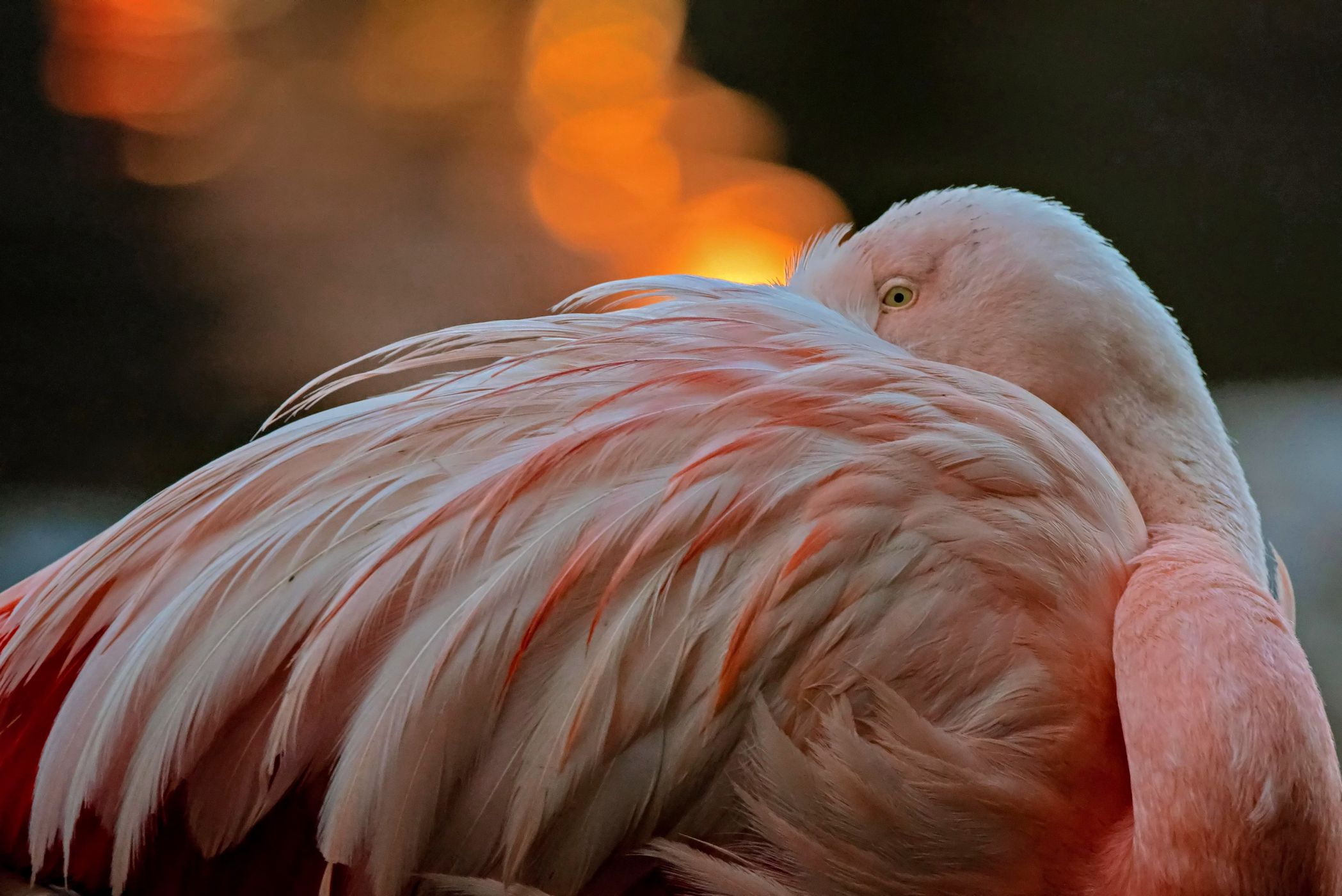 Leipzig Zoo, Germany