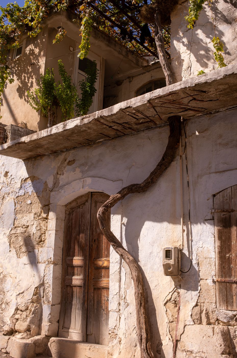 Margarites, Greece