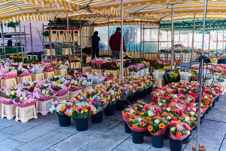 Marktplatz, Karlsruhe