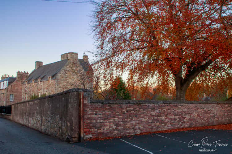 Mary Queen of Scots House