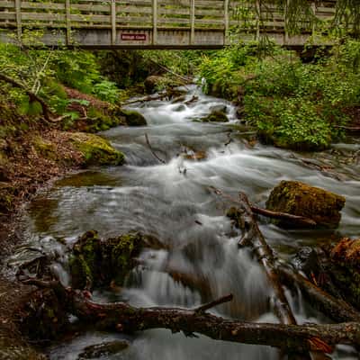 McHugh Creek, USA