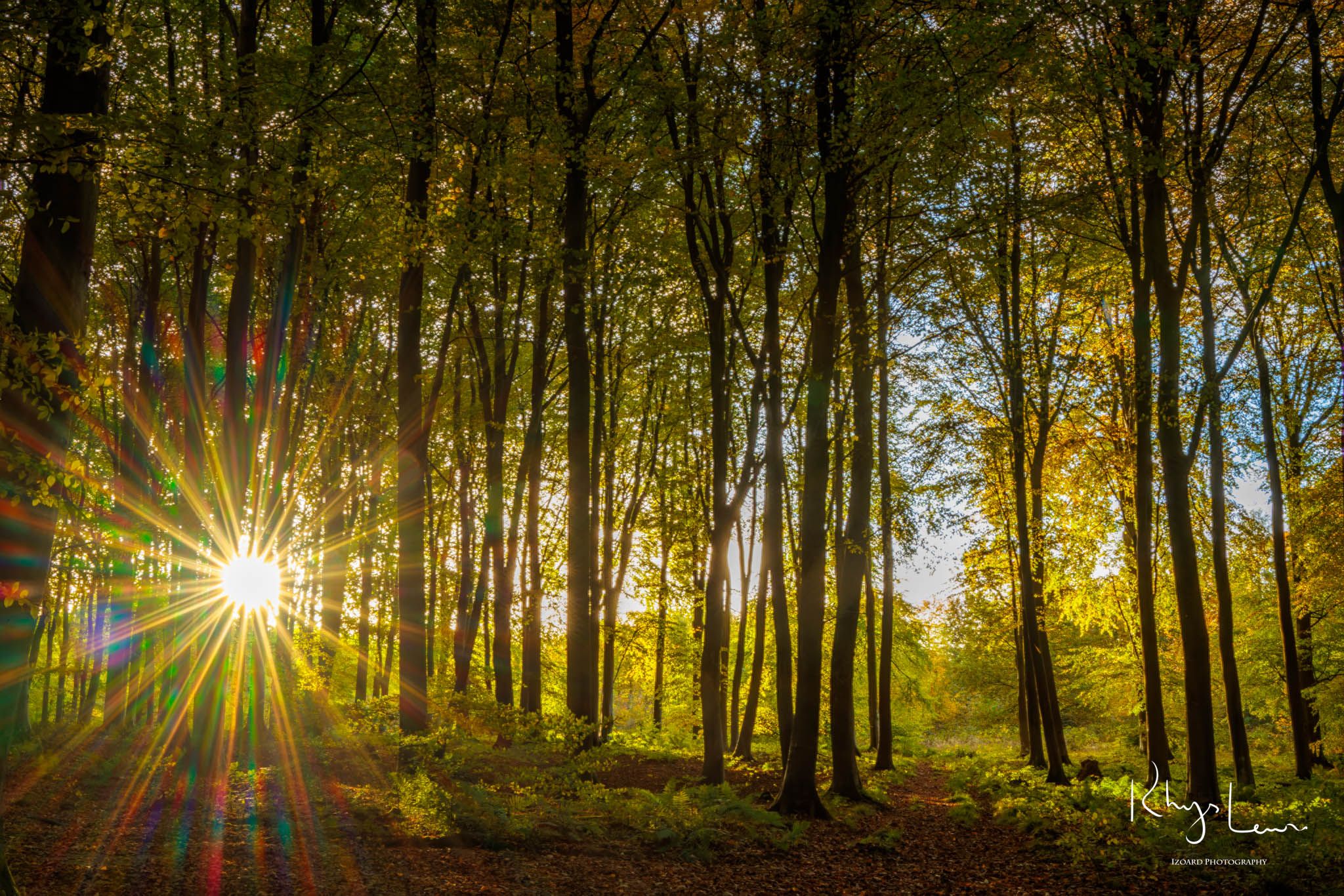 Micheldever Woods, United Kingdom