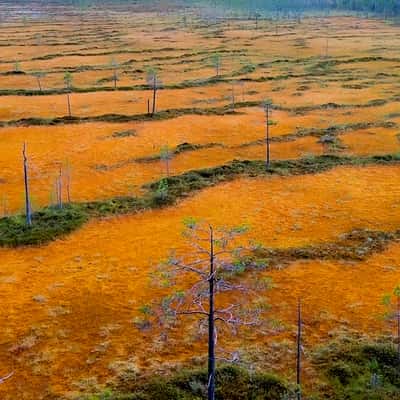 Mire: Hyöteikönsuo, Finland
