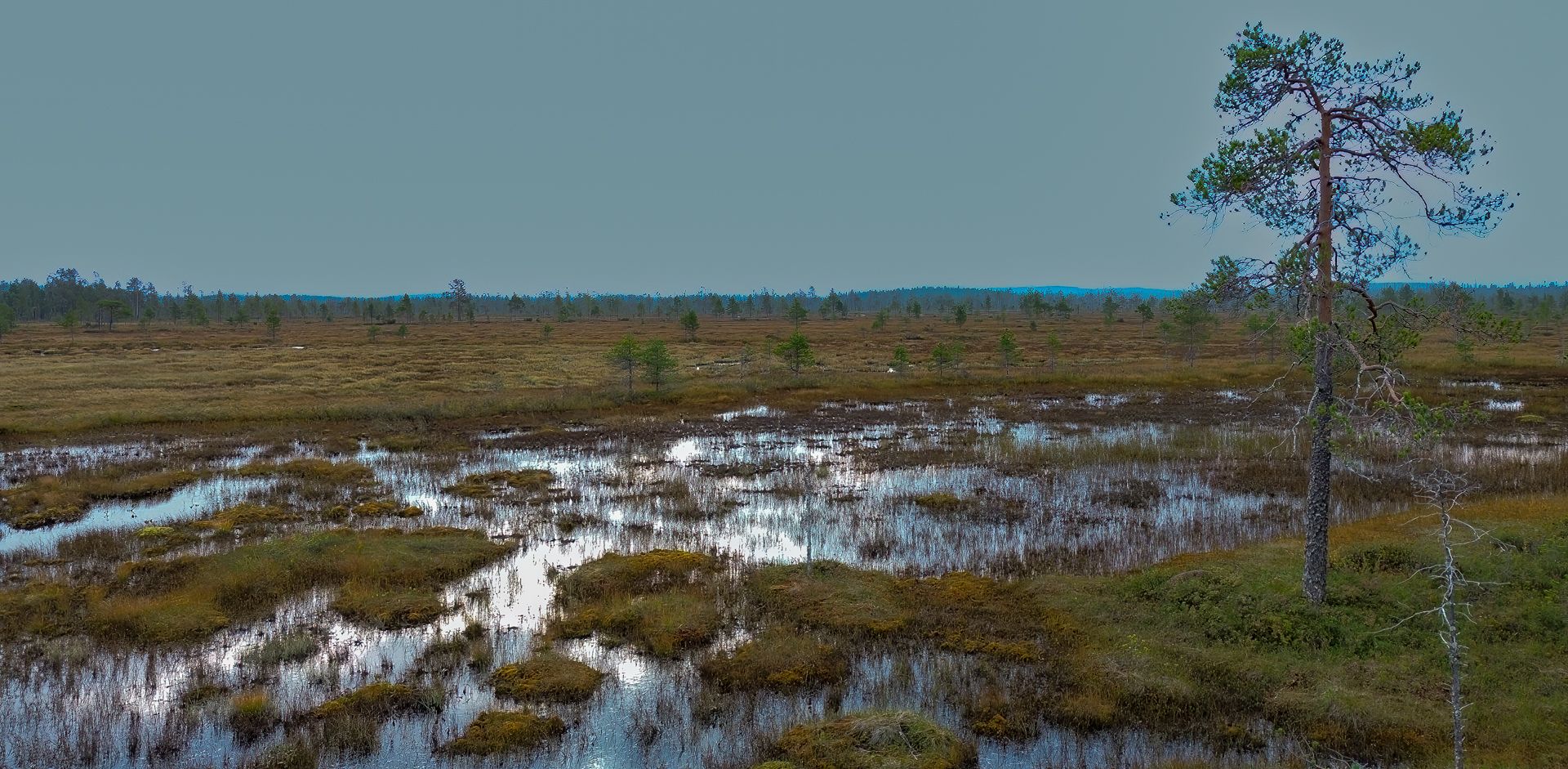 Mire: Hyöteikönsuo, Finland