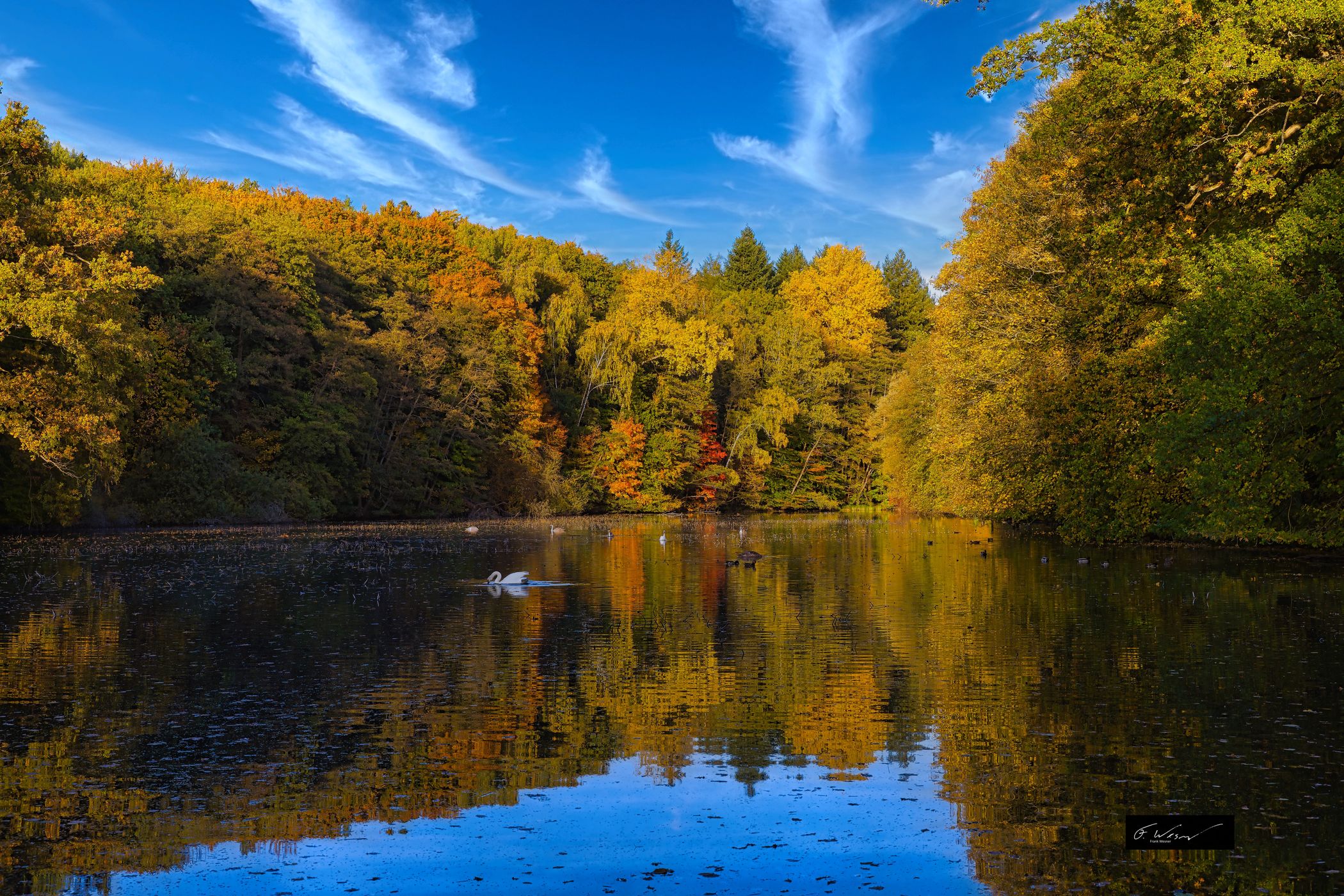 Mühlenteich Aumühle, Germany