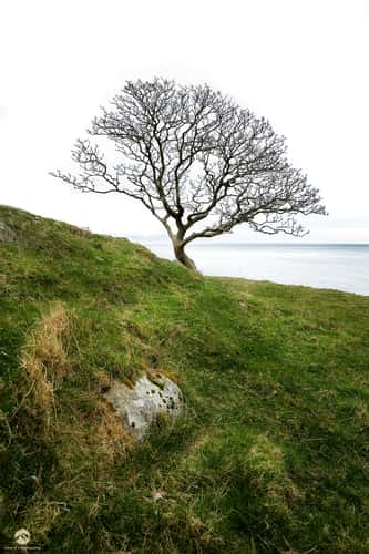 Murlough Bay