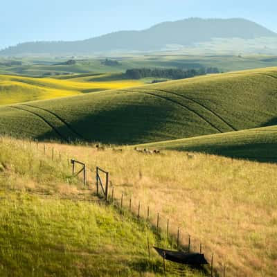 Near Farmington, USA