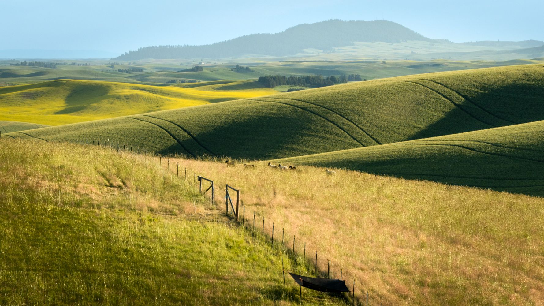 Near Farmington, USA
