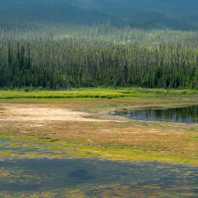 Near Meziadin junction, Canada