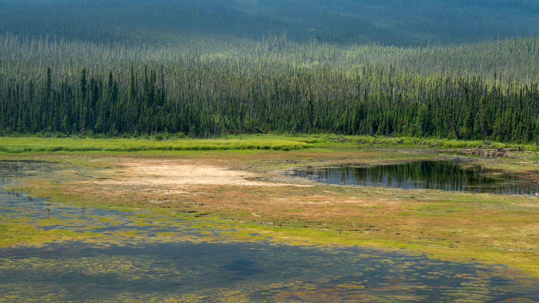Near Meziadin junction, Canada