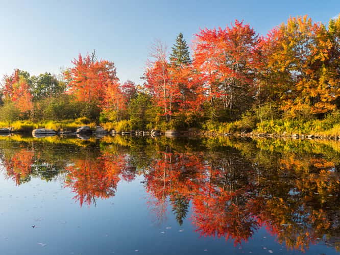 Near Mount Desert Narrows