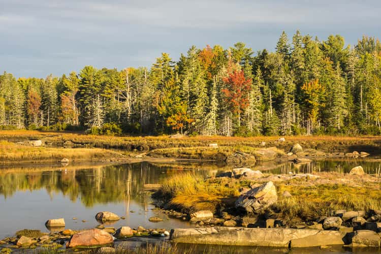 Near Mount Desert Narrows