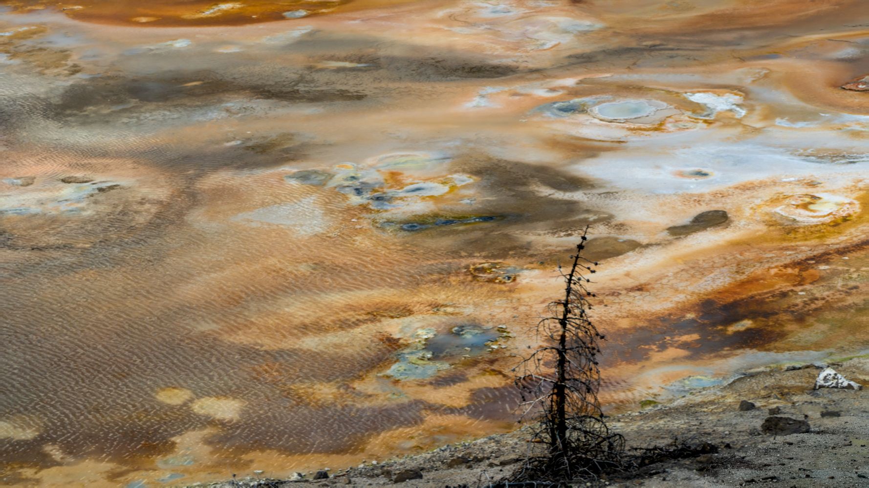 Near Porcelain springs, USA