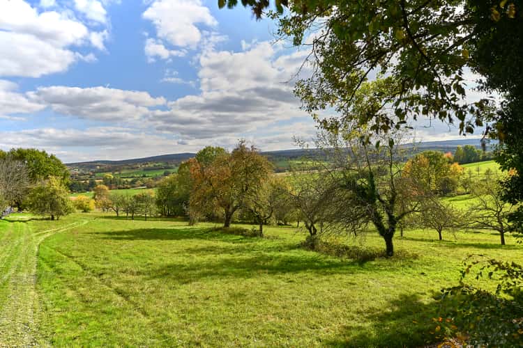 Northern Black Forest