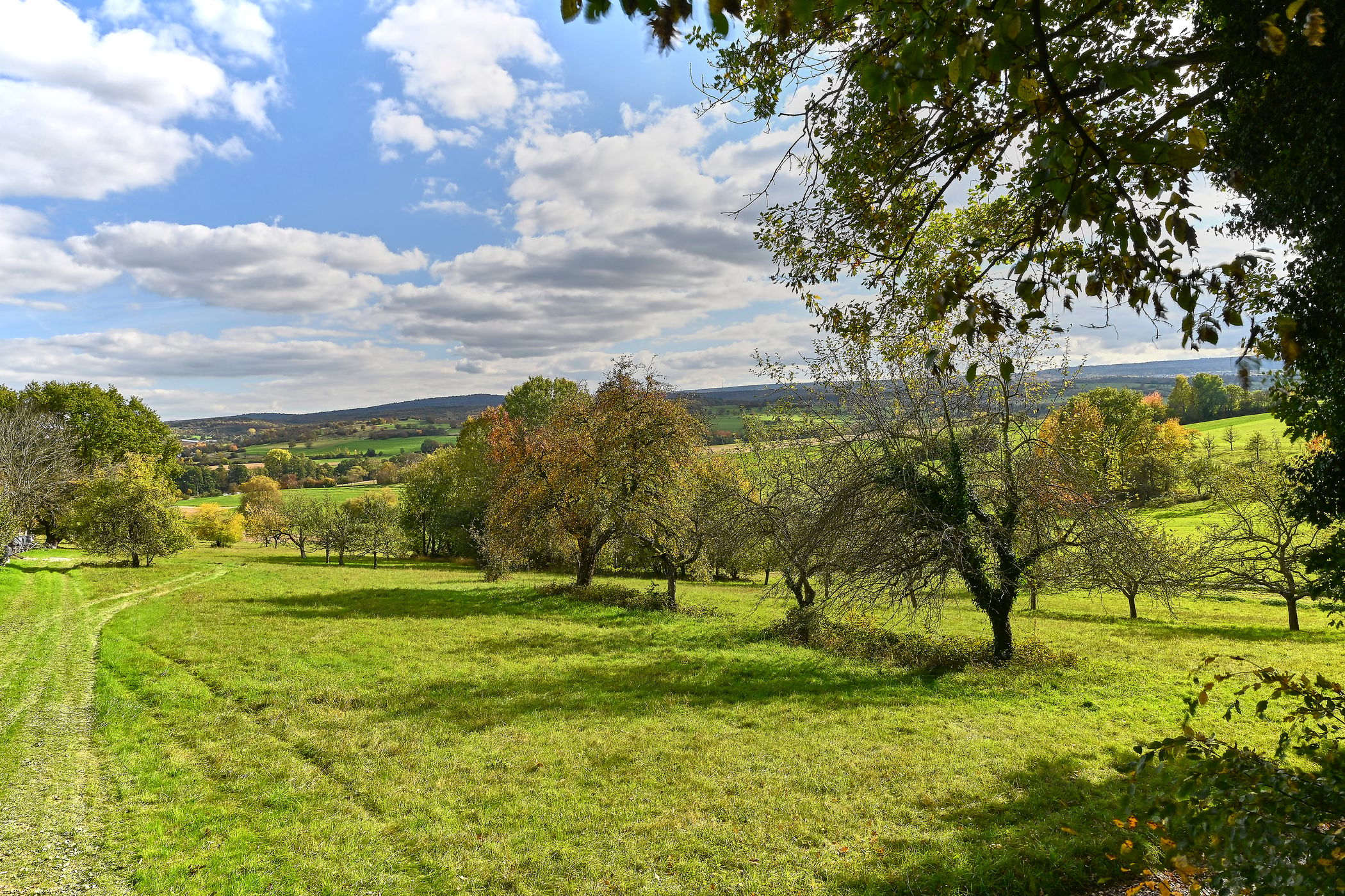 Northern Black Forest, Germany