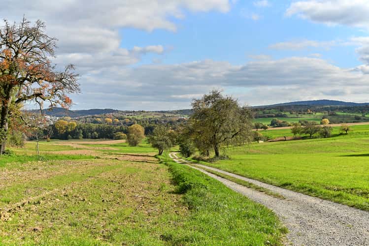 Northern Black Forest