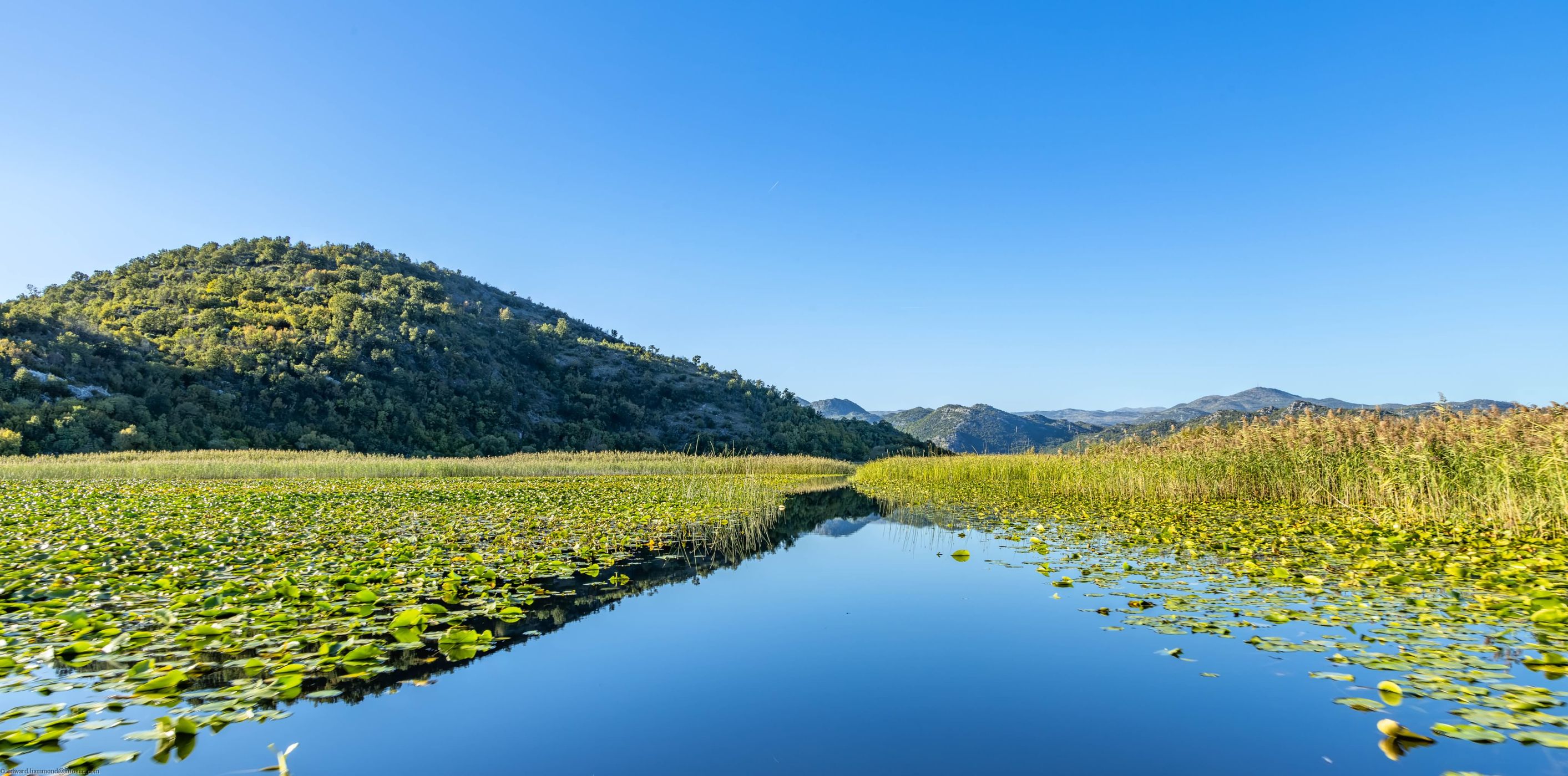 On Lake Skardar, Montenegro