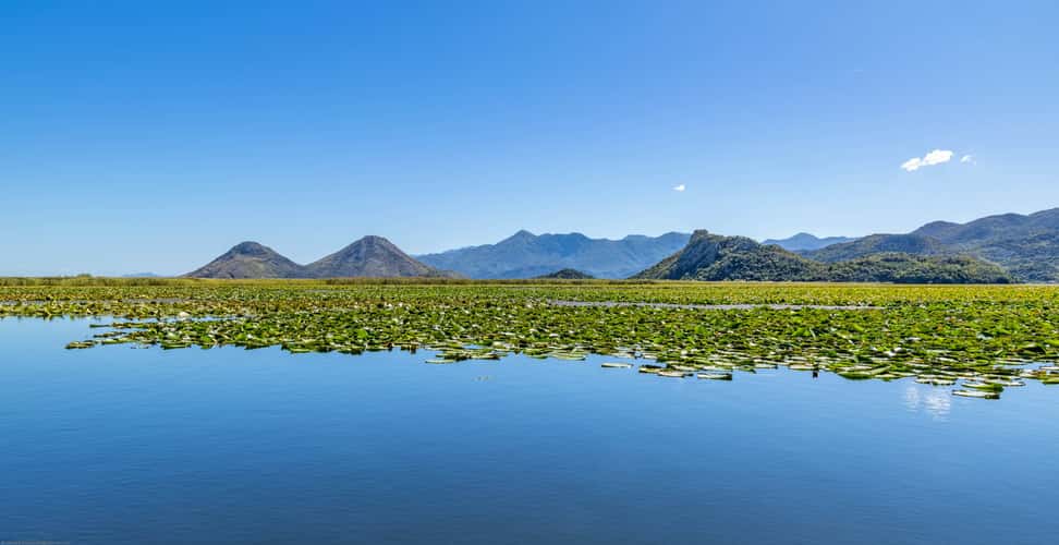 On Lake Skardar