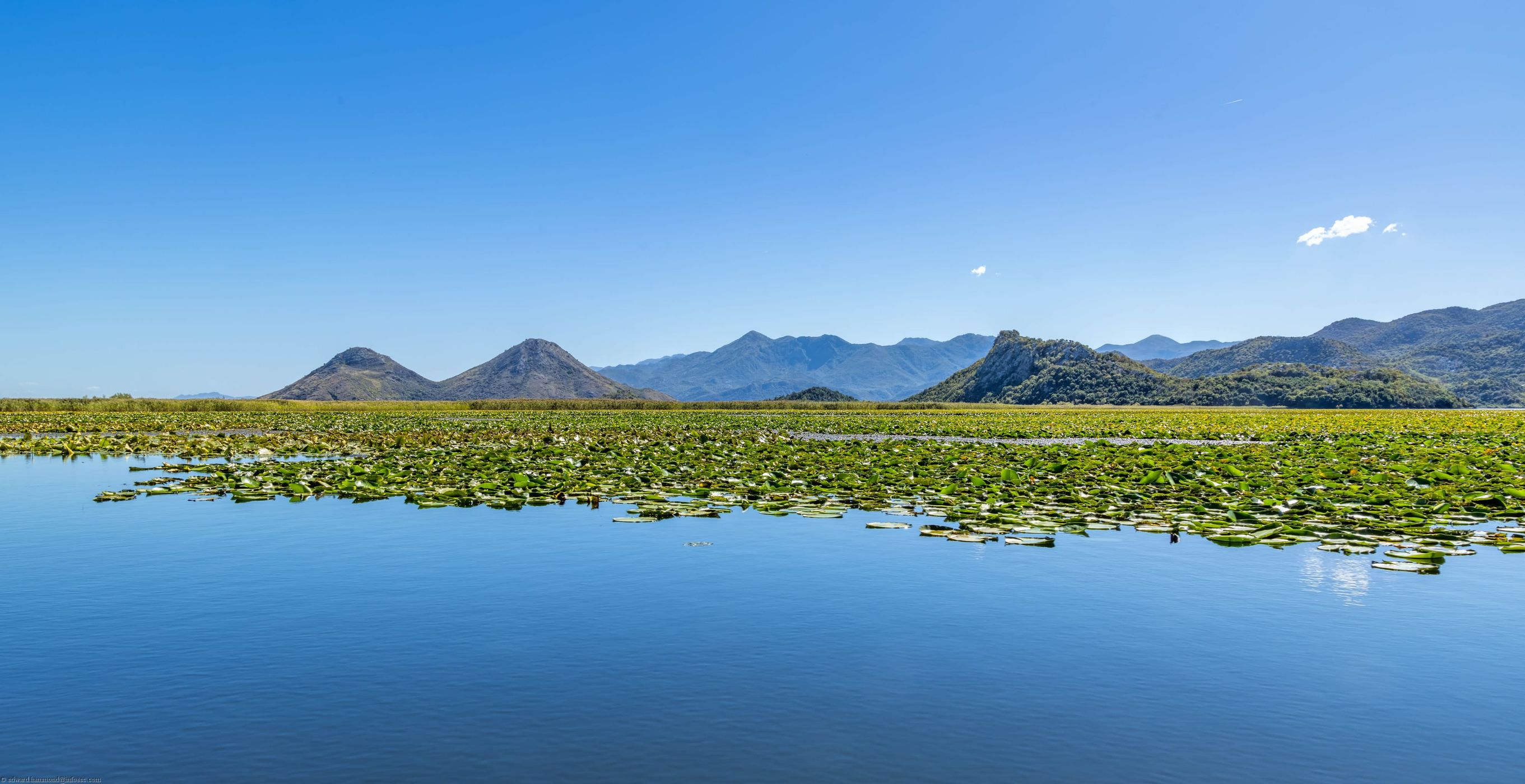 On Lake Skardar, Montenegro