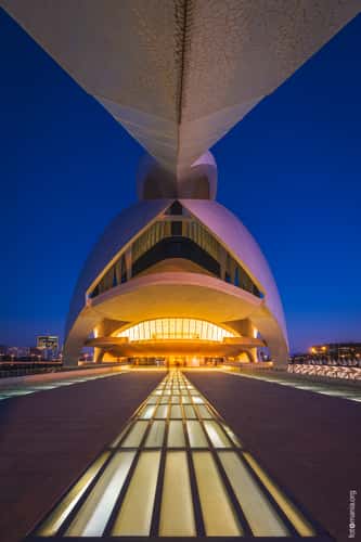 Palau de les Arts Reina Sofia, back view
