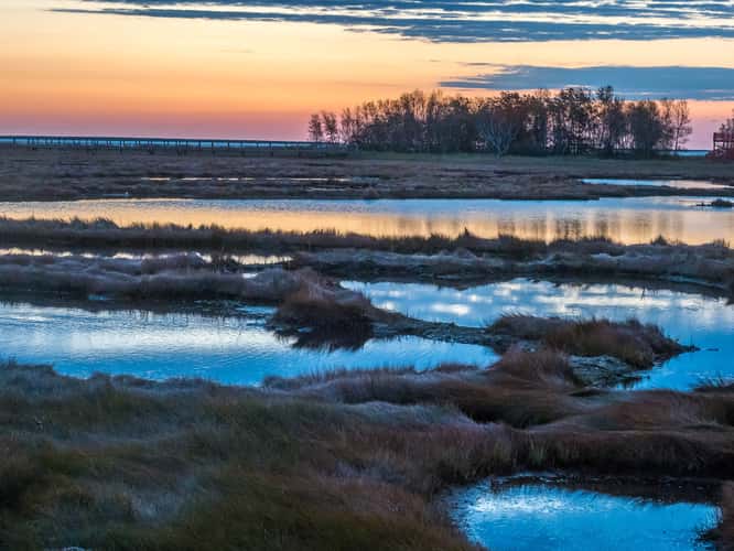Parc de lÎle-aux-foins