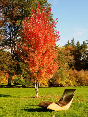 Park Průhonice