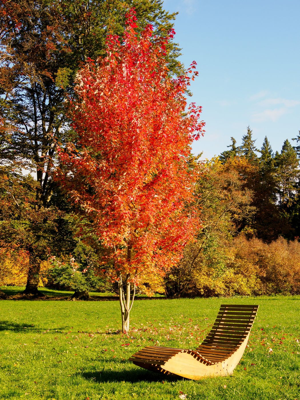 Park Průhonice, Czech Republic