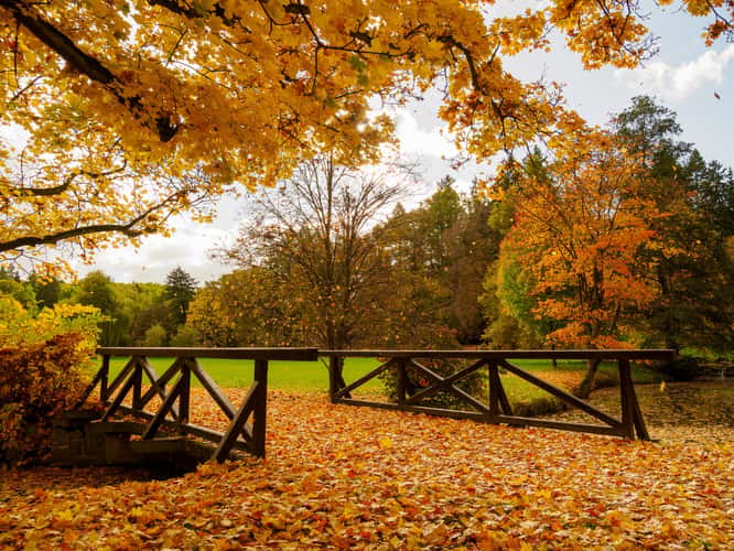 Park Průhonice
