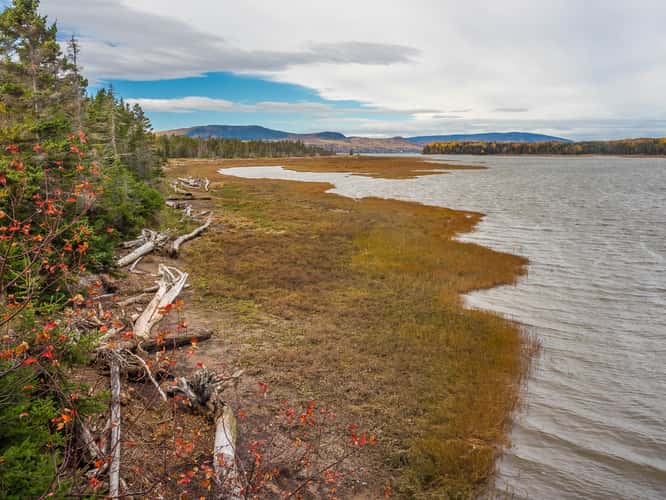 Penouille sandbank