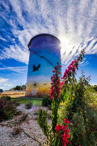 Percy Hobson Silo Art,  Bourke, NSW