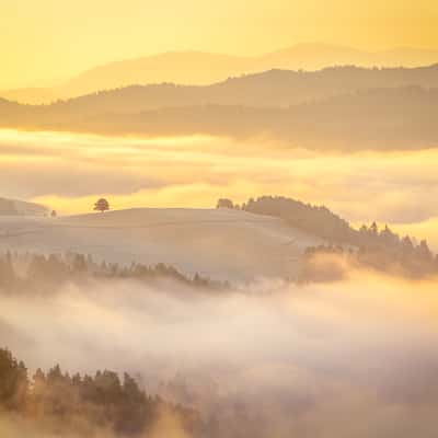 Pieniny National Park, Poland/Slovakia, Poland