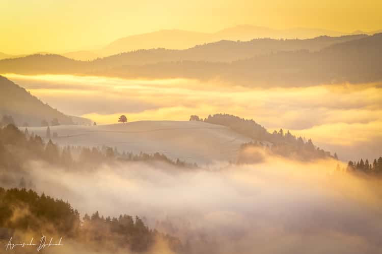 Pieniny National Park, Poland/Slovakia