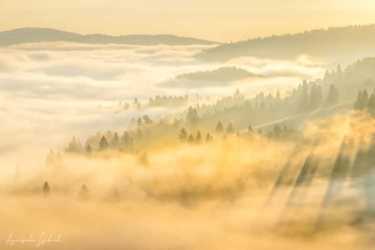 Pieniny National Park, Poland/Slovakia