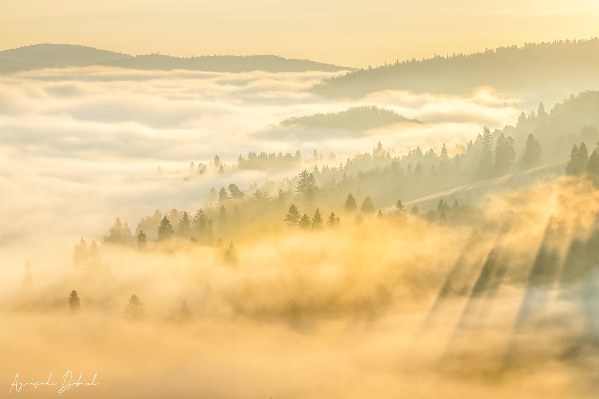 Pieniny National Park, Poland/Slovakia, Poland