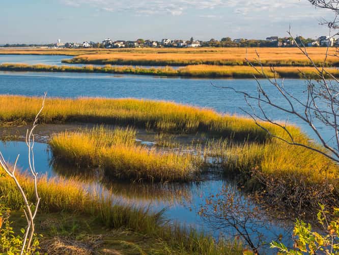 Plum Island Bridge