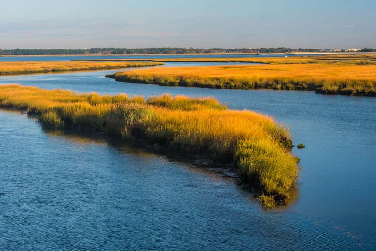 Plum Island Bridge
