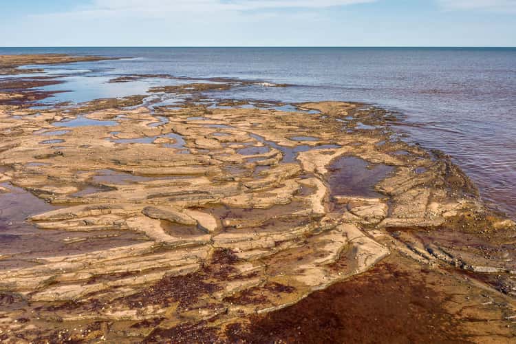 Point Escuminac