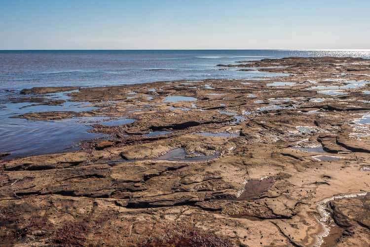 Point Escuminac